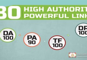 4155Get 80 HIGH AUTHORITY Powerful Links
