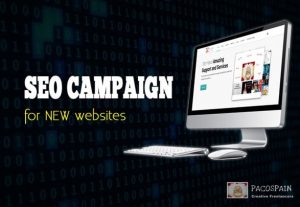 4213SEO Campaign Package For NEW Websites – Push Your Page Up