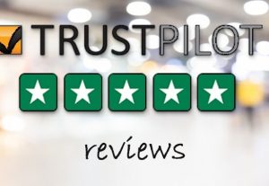 4238I will write 5 TrustPilot reviews