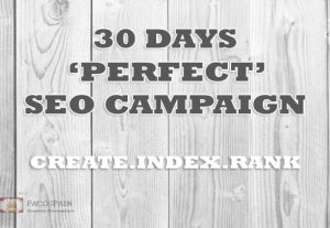 5181Skyrocking Your Website Rankings – 30 days SUPREME SEO PACKAGE