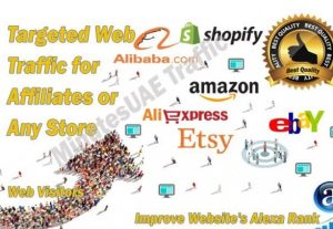 6428High-quality web traffic for Affiliates, Amazon, eBay, Alibaba, AliExpress, Etsy