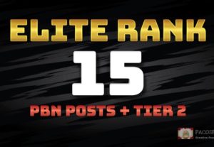 10777Elite Rank – 15 PBN posts High Authority + 1000 2nd Tier Backlinks