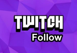 11790Provide 100+ followers to your Twitch channel account