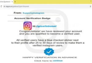 13046I will permanently verify any of your social media account