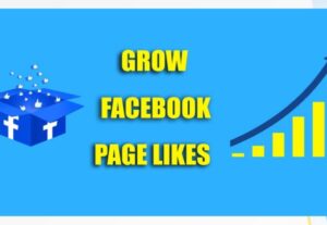 11794Add 1000+ Real Genuine Facebook Page Likes